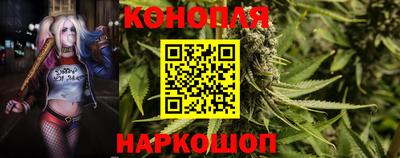 Альфа ПВП Шебекино