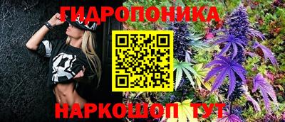 тгк Шахты